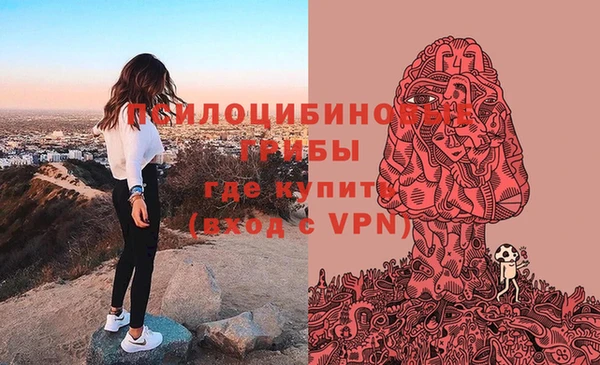 гидропоника Алексин